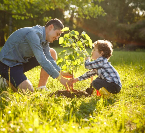 Green Living Tips for More Sustainable Choices